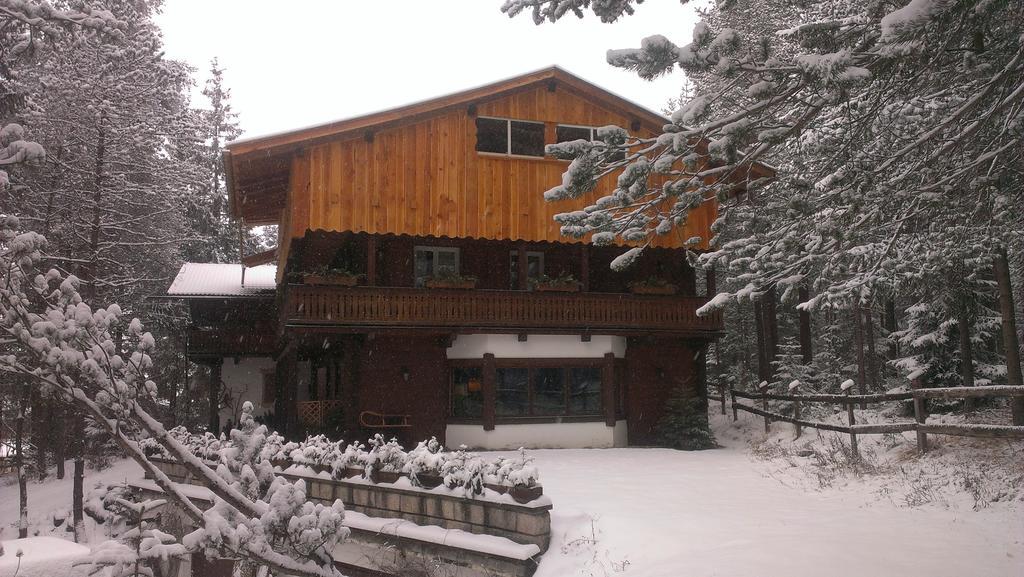 B&B Villa Dolomites Hut 산 비질리오 디 마레베 외부 사진